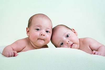 专家